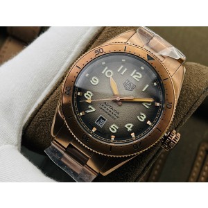 태그호이어 TG공장 남자 미러급 시계