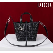 디올 여자가방