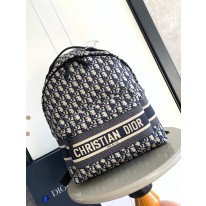디올 백팩