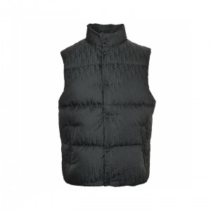 디올 남자 조끼